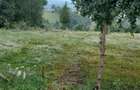 Teren Pestera 9 euro mp - 5