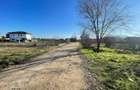 Teren intravilan, 1000mp, toate utilitatile, Ilfov - Gulia - 4