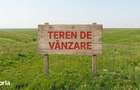 4 /mpTeren agricol extravilan Puchenii Mari-PH, Irigatie, parcel - 1