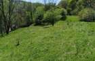 Teren de vis la munte 7.795 mp construibil parau, padure - 4