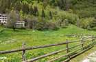 Intravilan | 10.000 mp| Satic-Rucar | Acces facil | Potential excelent