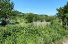 Teren parcelat intravilan 1040 mp Cobia, sat Mislea iesire la - 9