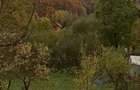 Vanzare teren Breaza - 6