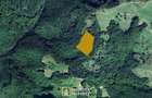De vanzare teren extravilan 8,2037 ha padure ?i pa?une Borod, Bihor - 3