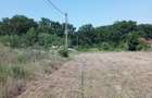 Teren Grigorescu / strada Apateului (de inchiriat / inchiriat) - 2