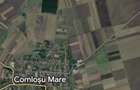 Teren agricol 6 Ha - Comlosu Mare - 1