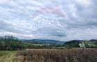 Teren cu panorama superba in Berchezoaia + bonus rulota - 3