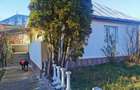 Casa Vanzare Valea Mare Pravat, Arges - 6