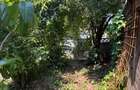 Casa cu potential | Gata de mutare | Brancoveanu - 4