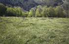 Vand teren pe Transapuseana in Ponor 3510mp - 5