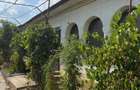 Casa 4 camere + teren 2.700 mp, la 15 minute de Craiova - 4