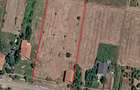 Teren 4316 mp + constructie in Tipari | Front  stradal mare 45 m  10km de  Lugoj - 1