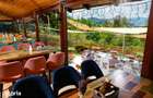 Investi?ie: Cabana + Restaurant Topli?a | 730 mp | Doar 700/mp - 13