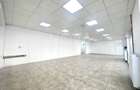 Spatiu comercial cu vitrina - Str. Doamna Stanca - 6