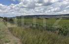 Teren intravilan in localitatea Bobota in suprafata de 11500 mp - 1