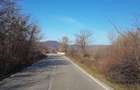 Teren de 40000 mp, în Balotești - 3