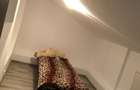 Vand casa pe pamant Bucur Obor - 3