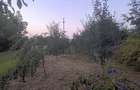 Casă cu 3 camere cu Teren 2200 Mp în Broșteni (Vișina) - 13