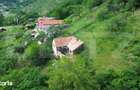 Casa traditionala, investitie potential de dezvoltare, 65 mp, Capalna, - 18