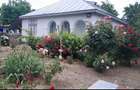Casa+1900mp Codresti-Ciorastii Mari