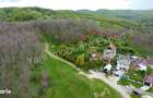 Teren de vanzare in Curtea de Arges ( 2026 mp ). - 4