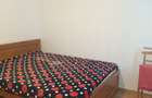 Apartament 2 camere,mobilat,disponibil imediat,strada Ramnicu Valcea - 4