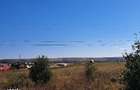 Cota 1/3 din teren intravilan loc. Isalnita, Judetul Dolj R3259111 - 2