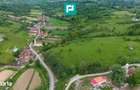 Proprietate de poveste pe Valea Mure?ului, Lupe?ti - 6