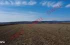 Teren extravilan de vanzare intre Chilieni si Coseni, pe DN12! - 1