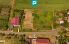 Teren intravilan de 596mp in Cicir, Vladimirescu - 5