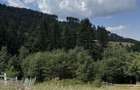 Teren intravilan deosebit, 572 mp, langa padure POT 40% Ideal rezidential, Strada Morii , Mun. Sacele - 2