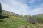 Teren 1,000mp Piatra-Neamt / Zona Fermelor - 7