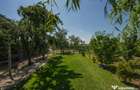 RACARI - DAMBOVITA, CASA PE PARTER 85 MP, LOT 2200 MP! - 13