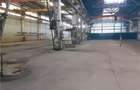 Spatiu Industrial - 4600 mp - Productie - Depozitare - Distributie - 16