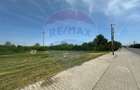 Teren 545,000mp Dragomiresti-Vale - 11
