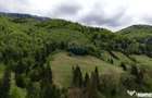 Extravilan + Intravilan | Satic-Rucar | Cadru natural | Turistic - Satic (Arges)