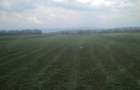 Vand Teren pentru infiintare plantatie.