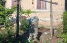 Casa de vanzare 107 mp, teren 2065 mp, acces asfalt - 7