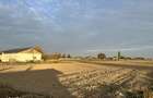 Teren intravilan 8.400 mp | Slobozia Moara | Parcelabil - 3