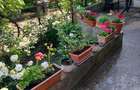 Vand casa in sat Sanmartin, com. Macea, jud. Arad - 7