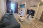 SUMMERLAND - Apartament de inchiriat extrasezon - 9
