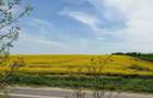 Teren 32.400 mp cu deschidere la E70 zona strategica, Ghimpa?i, Giurgiu - 2
