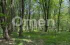 Ideal pentru cabana | zona de camping - 2
