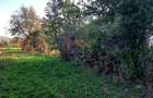 Teren Intravilan, central, perfect plat, 1212 m2, 38 euro m2 - 1