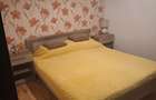 Apartament cu 1 camera Someseni - 1
