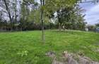 Vand teren Bolintin Deal - 3