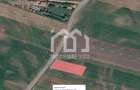 Loc de casă - Teren Intravilan 1000 mp – Jucu de Mijloc - 2