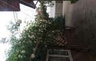 vanzare . Spatiu comercial ?i teren - 6