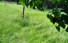 Casa de vanzare, cu teren 890mp , zona buna, Ramnicu Sarat - 1