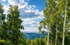 Vand cabana A-Frame la munte Marisel - 6